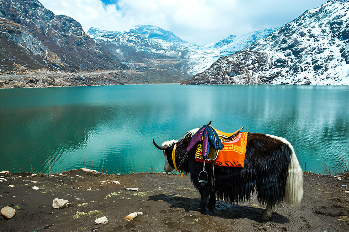 sikkim,gangtok,private jet and air charter booking with fly avcare