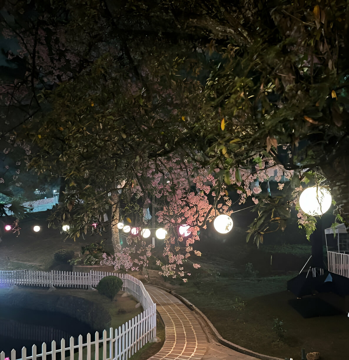 shillong, book private jet or aircharter with fly avcare