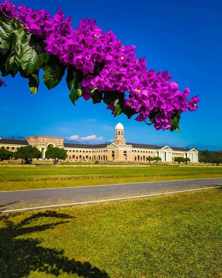 book private jet with fly avcare to dehradun