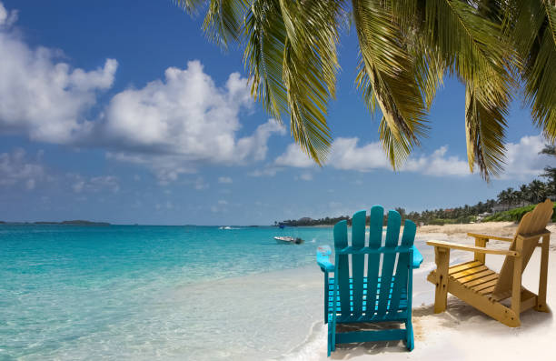 Relaxing beach chairs under palm trees overlooking turquoise ocean