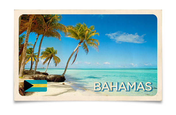Tropical beach in the Bahamas with white sand, clear blue waters, and palm trees under a bright sky